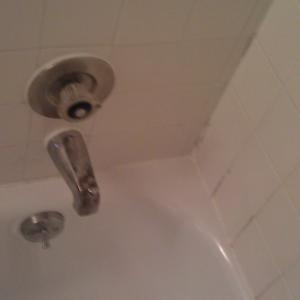 Bath after maintenance Pro