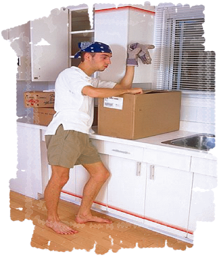 House Cleaning Mover